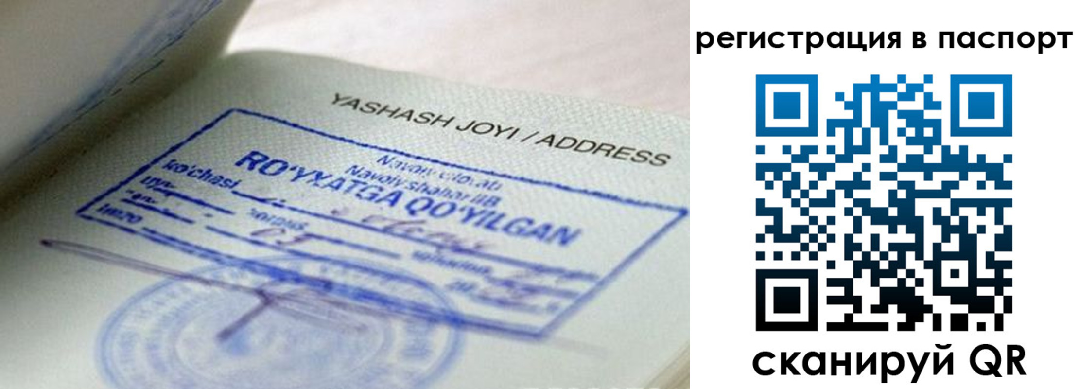временная регистрация надежно в Опочке